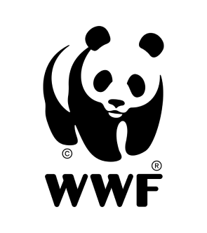Logo img